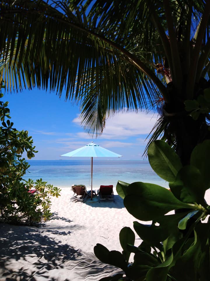 Ein geheimer Einblick auf einen kleinen privaten Strandabschnitt mit zwei Liegen unter einem kleinen türkisen Sonnenschirm, umsäumt von grünem Gewächs und Palmen